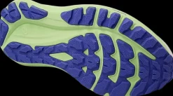 Asics Hardloopschoenen>GT-2000 13 TR nature bathing/lime green