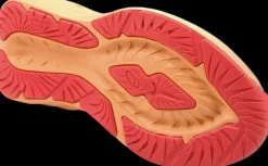 Asics Hardloopschoenen>Novablast 5 GS sooting sea/wave teal