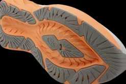 Asics Hardloopschoenen>Novablast 4 white/moonrock