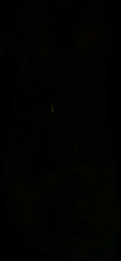 Bont Skeelerschoenen><noscript><img width=