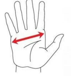 Ekoi Wielerhandschoenen Kort>Velo start gel wit