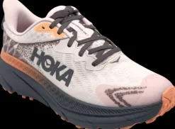 Hoka One One Trailschoenen|Hardloopschoenen>Challenger ATR 7 GTX cosmic pearl / galaxy