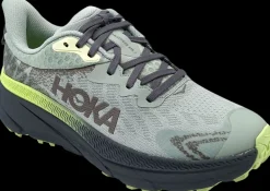 Hoka One One Trailschoenen|Hardloopschoenen>Challenger ATR 7 GTX aloe vera / lettuce