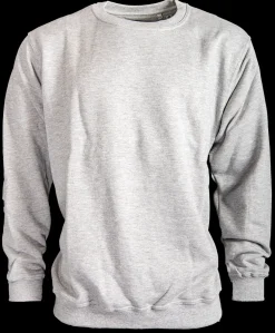 Overig>lichtgrijze sweater