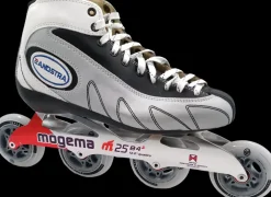 Zandstra Inline Skates En Skeelers><noscript><img width=