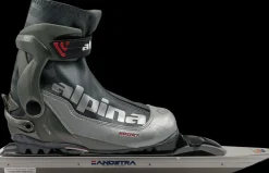 Zandstra Noren><noscript><img width=