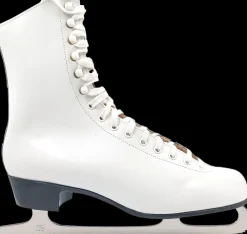 Zandstra Kunstschaatsen><noscript><img width=