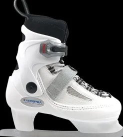 Zandstra Kunstschaatsen><noscript><img width=