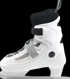 Zandstra Kunstschaatsen><noscript><img width=