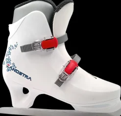 Zandstra Kunstschaatsen><noscript><img width=